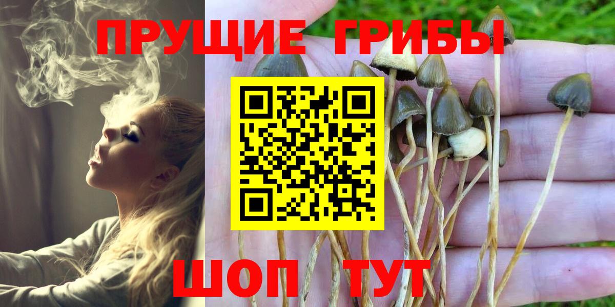 Одинцово  Галлюциногенные грибы прущие грибы  Вход с VPN  Псилоцибиновые грибы Magic Shrooms 