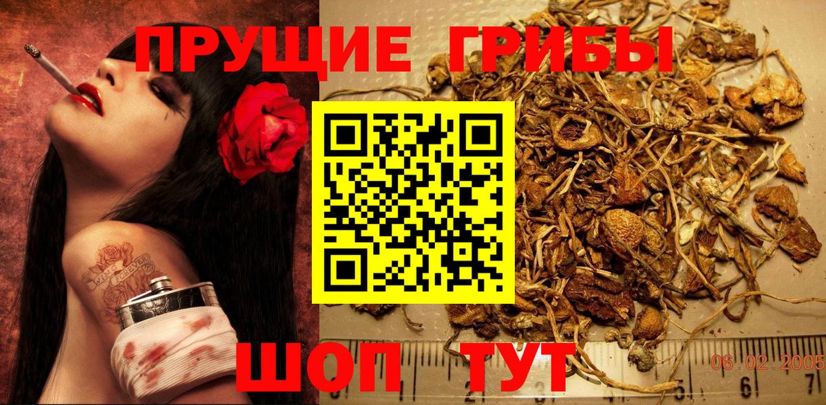 Галлюциногенные грибы ЛСД Одинцово
